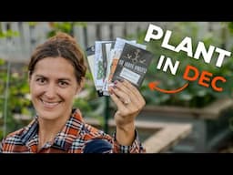 12 Veggies You Need to Plant in December