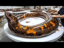 Cutting a Giant Moray Eel  | Expert Fish Cutter Handles Massive Moray Eel at Seafood Market