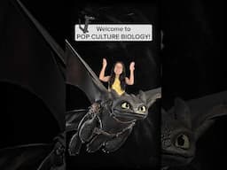 Pop Culture Biology: Toothless! #howtotrainyourdragon #httyd