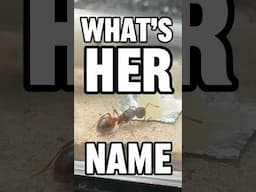 What Should We Name Our New Friend?