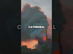 Notre Dame’s New Roots: The Global Hunt for Sacred Timber