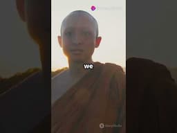 Buddhism: Understanding the Root Cause of Suffering