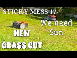 *NEW* GRASS CUT, WE HAVE HAD SO MUCH RAIN... I WANT SUN!!!