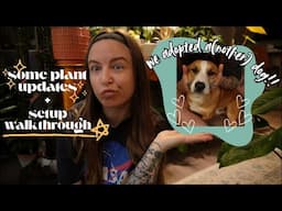 We adopted a(nother) dog! | Plant updates + setup walkthrough ☆