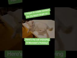 Kitty approved Spooky Surf music! A Monster's Holiday by Aurelio Voltaire with Los Straightjackets!