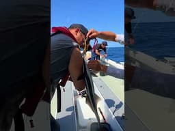 fish gets STUCK on my ARM 😲🐟 #fishing