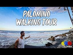 Palomino Travel Guide: What You Need to Know! Walking Tour