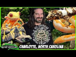 ALL AMERICAN REPTILE & PLANT EXPO! Charlotte, North Carolina, April 2025