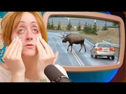 Moose Are Way Too Damn Big