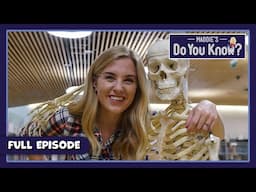 X-Ray and Socks | Maddie's Do You Know 🔎 Series 3, Episode 20 | FULL EPISODE