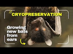 Cryopreservation and Zoos | Nature's SAFE