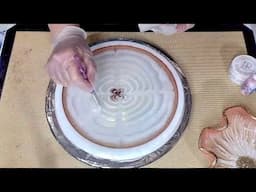 #2237 Beautiful Shimmer In This 3D Bloom Resin Bowl