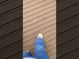 #shorts #youtubeshorts #sapphire
