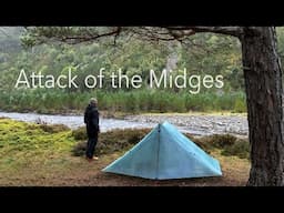 Attack of the Midges  - Wild Camping in Scotland