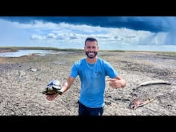 The Everglades is Dying...