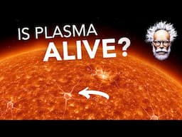Are we the Aliens - PLASMA