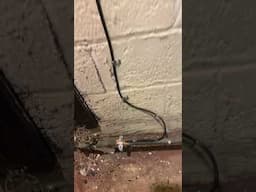 Grounding Electrode Conductor Terminations #electrician