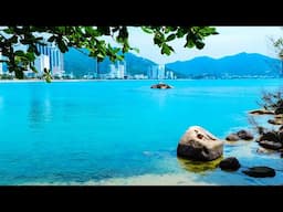 Happy Bossa Nova at Beach Ambience 🌴 Relaxing Jazz Music & Ocean Waves Sounds for Great Mood