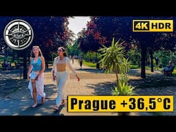 It’s 36.5°C in Prague! Let’s Survive This Heat Together 🥵🇨🇿 4K HDR