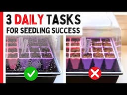 NEVER Skip These 3 Daily Tasks (When Starting Peppers)