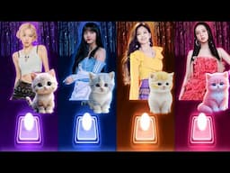 Cute Cats Dance | Rose & Bruno APT, Lisa's Money, Jennie's Solo & Jisoo's Flower! | Tiles Hop Songs