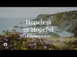 Hopeless or Hopeful | Audio Reading | Our Daily Bread Devotional | April 29, 2025
