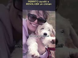PERRITO ayudó a RESOLVER un crimen - Caso Mandy Rose Reynolds