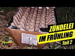 Feuerwerk Zündelei im Frühling Teil 2 | PyroMoe