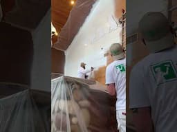 Giving this doggy daycare a new paint job