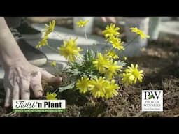 The Twist 'n Plant Augers from Proven Winners