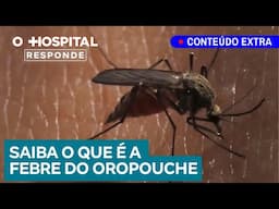 Brasil tem explosão de casos de febre oropouche; entenda a doença | O Hospital Responde