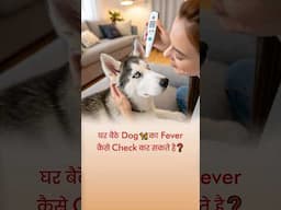 घर बैठे Dog 🦮 का Fever कैसे Check कर सकते है❓