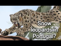 Snow Leopards in Portugal? - The Extinct Big Cat Shakeup