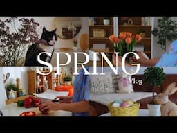 A spring vlog in Switzerland🌷  cooking / walking in nature / cozy spring at home