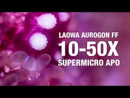 Laowa Aurogon FF 10-50x Macro Supermicro APO
