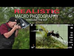 What Does Macro Photography Really Look Like Through the EVF?