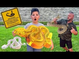CALEB LEARNS ABOUT SNAKES with DAD! Dissect It Rattle Snake Super Lab Experiment TOY!