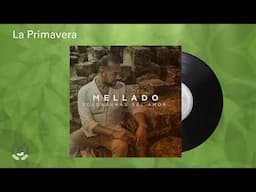 Mellado - La Primavera (Audio Oficial)