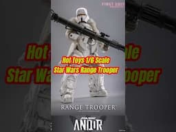 Hot Toys Star Wars Range Trooper