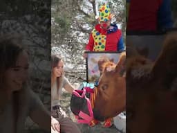 In case you missed Winnie's 3rd birthday party... but you didn't miss it right? 🐮#mayahiga #alveus