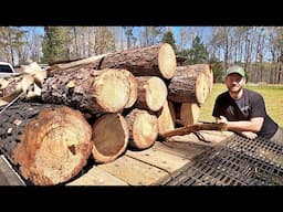 From Trash to Treasure: Free Logs for the Sawmill!