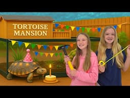 Building Tortoise Mansion for Sammy!!