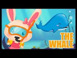 🐋 🌊 We live very cool adventures with our friend the whale! 🐋 🌊 Titounis