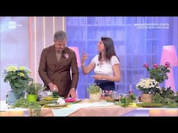 🌿🌸Piante e fiori: usi erboristici per la cosmesi e il benessere del corpo - Lucia Cuffaro
