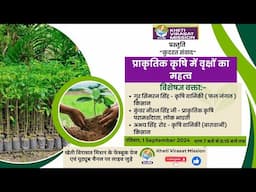 #प्राकृतिक #कृषि में #वृक्षों का #महत्व।