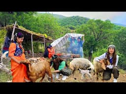 A Beautiful Day From Nomadic Traditions | Iran village life | Iran Nomadic Life