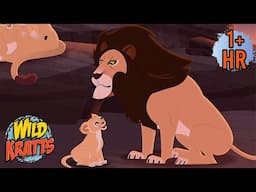 Wildest Hair in the Animal Kingdom | NEW COMPILATION | Forest Mission | Wild Kratts | 9 Story Kids