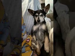 I’ve never seen her sit like this!?!?