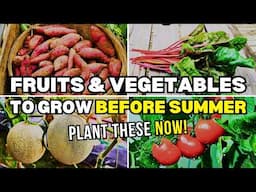 12 Fruits and Vegetables You Should Plant Before June | Late Spring Gardening