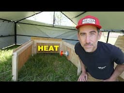 Building a Outdoor Chick Brooder Box with Heat Lamp/ Outgrowing the Homestead